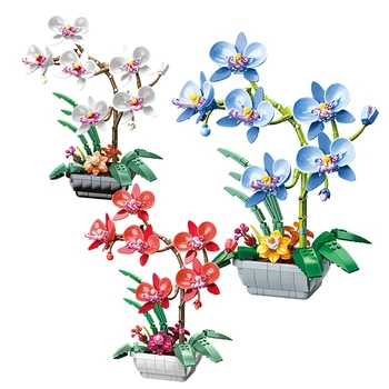 Romantiška Puokštė Orchidėjų Žiedų Blokai Miesto Romantiškas Namų Puošybai 